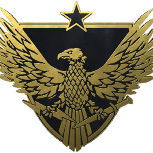 Brigadier General Pin