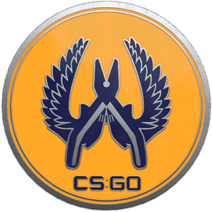 Guardian 2 Pin