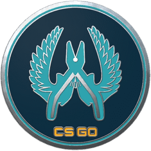 Guardian Pin