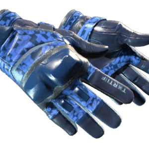 ★ Moto Gloves | Polygon (Factory New)