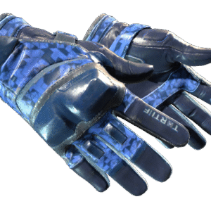 ★ Moto Gloves | Polygon (Field-Tested)