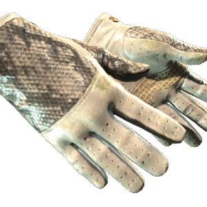 ★ Driver Gloves | King Snake (Field-Tested)