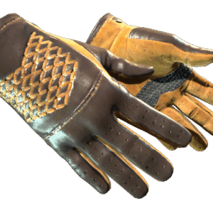 ★ Driver Gloves | Overtake (Factory New)