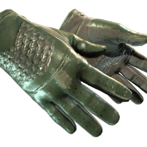★ Driver Gloves | Racing Green (Field-Tested)