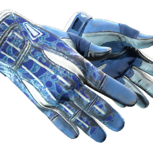 ★ Sport Gloves | Amphibious (Field-Tested)