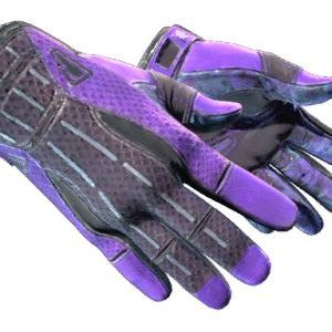 ★ Sport Gloves | Pandora's Box (Field-Tested)