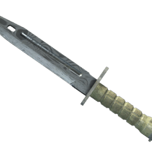 ★ Bayonet | Damascus Steel (Field-Tested)