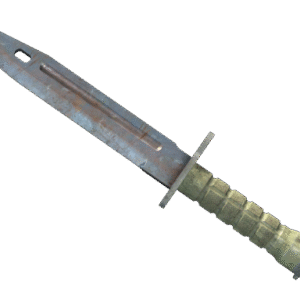 ★ Bayonet | Rust Coat (Well-Worn)