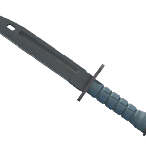 ★ Bayonet | Night (Minimal Wear)