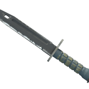 ★ Bayonet | Night (Well-Worn)