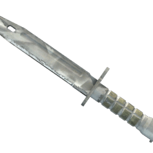 ★ Bayonet | Urban Masked (Field-Tested)