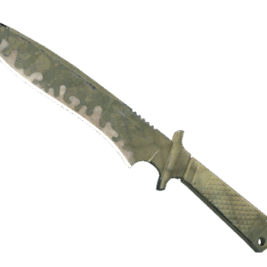 ★ Classic Knife | Safari Mesh (Battle-Scarred)