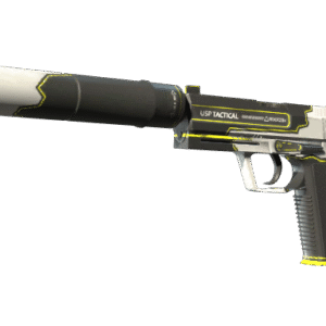 USP-S | Torque (Factory New)